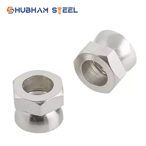 Anti Theft Bolt Manufacturer, Supplier