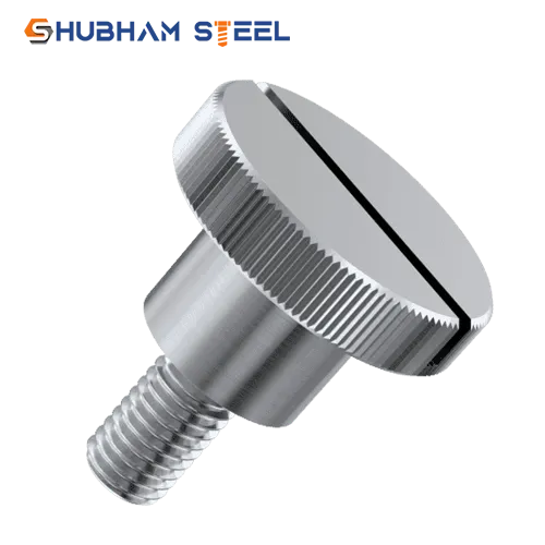 stainless steel screw supplier in Gujarat