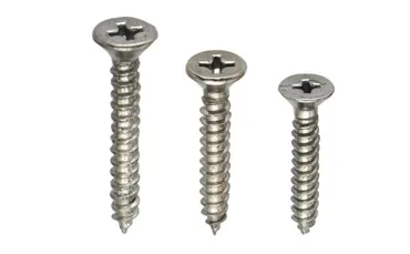 Self Tapping Screw