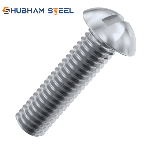 stainless steel screw suppliers in Gujarat